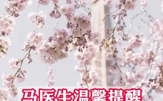 三ツ夜藤 哔哩哔哩 Bilibili