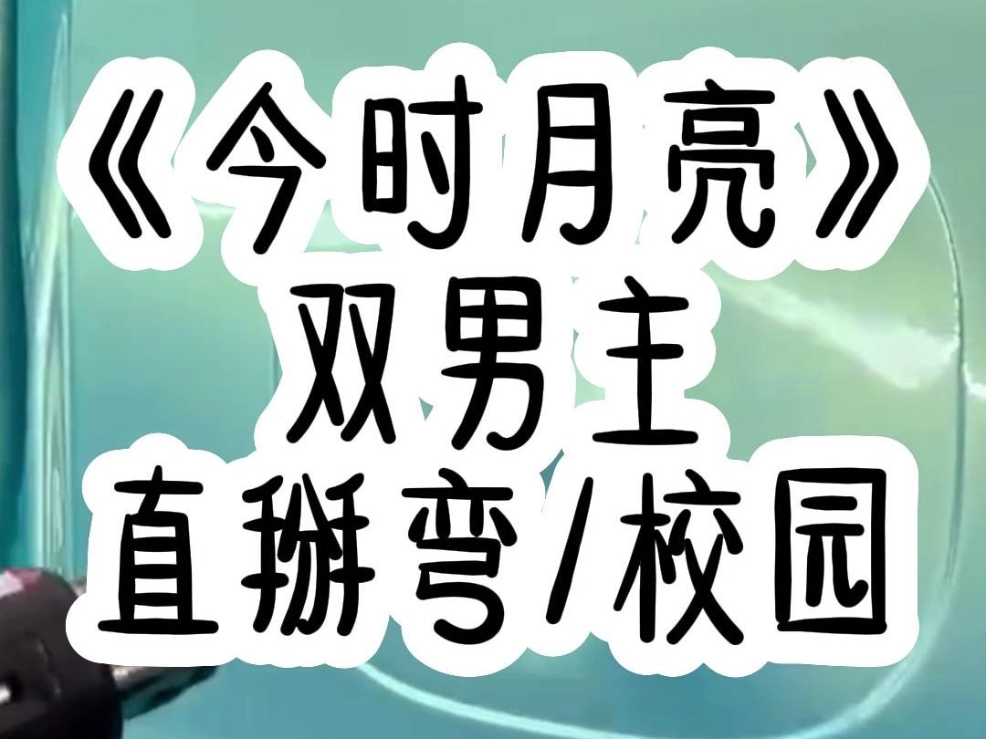 【双男主】高中时我谈过一个男朋友. 他为我逃学, 为我打架, 最后我把他甩了. 我告诉他: 我从来不喜欢男人. 我这辈子最讨厌的就是 gay. 后来他成...