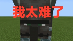 Minecraft 劫掠兽vszoglin 哔哩哔哩 つロ干杯 Bilibili