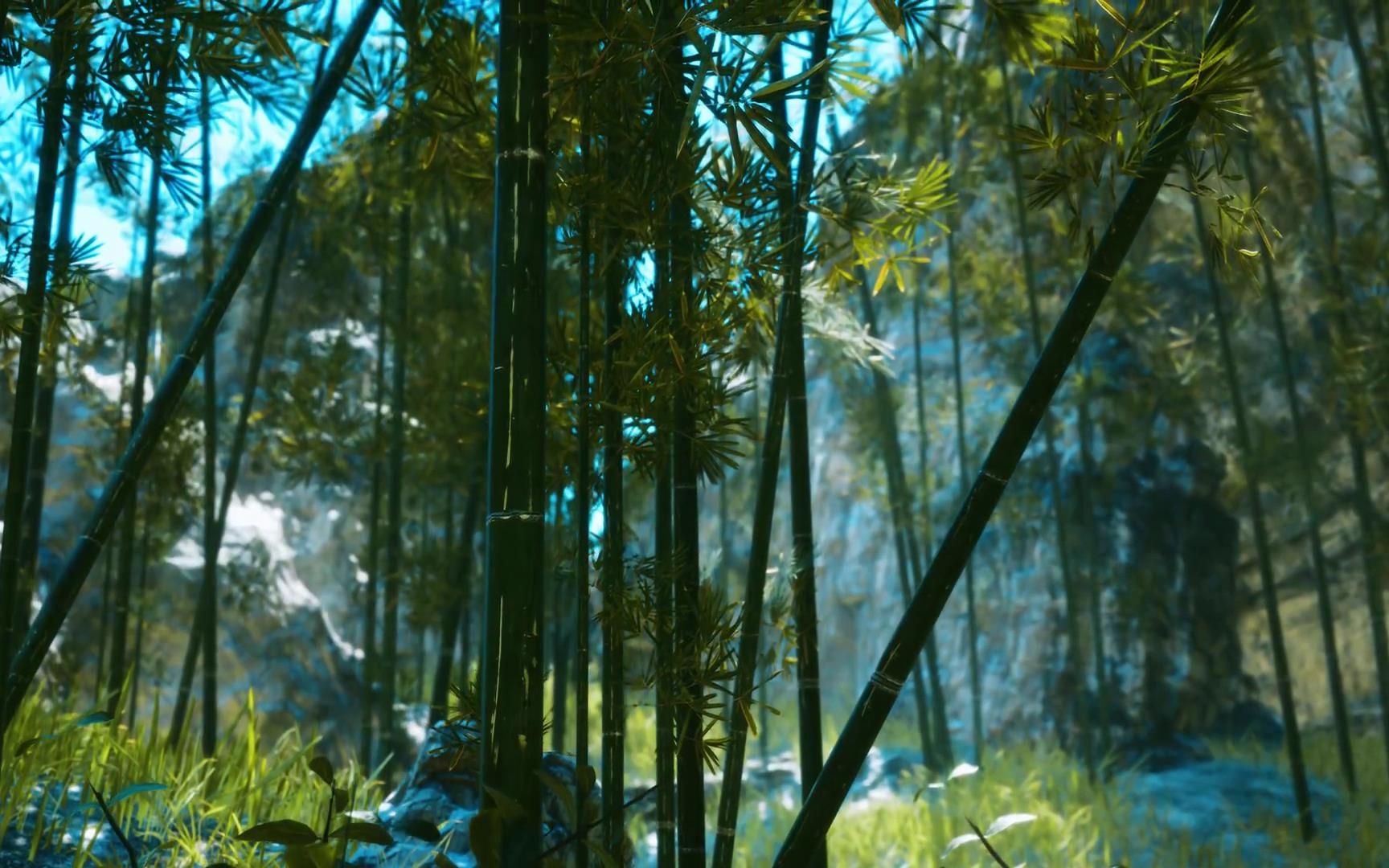 [图]郁郁葱葱的竹林下的雨声 - Rain sound in the Bamboo grove