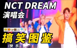 Download Video: 【NCT DREAM 演唱会 搞 笑 图 鉴】