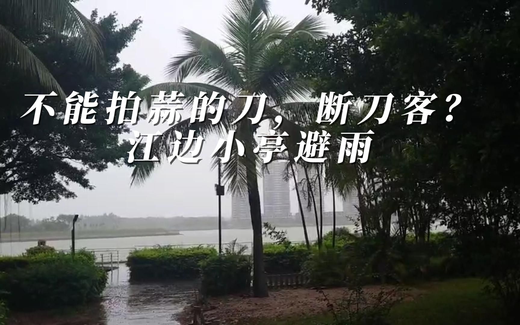 [图]不能拍蒜的中餐刀，江边小亭避雨