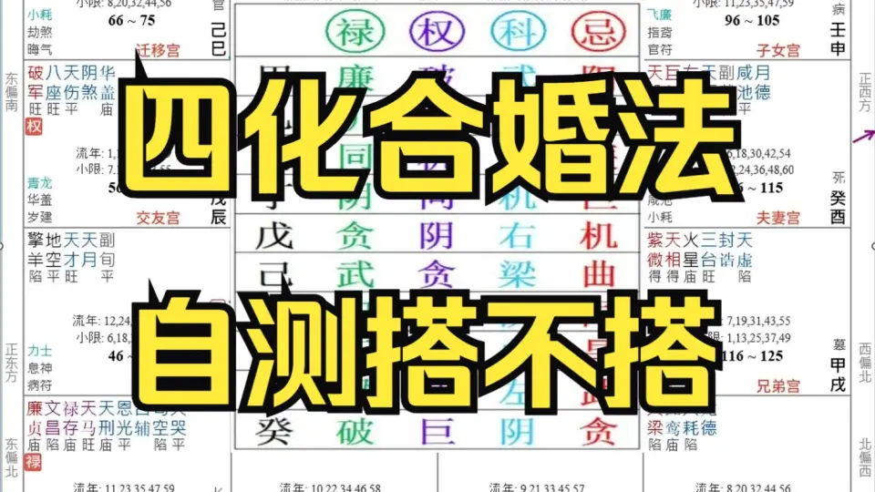 紫微合盤-哔哩哔哩_Bilibili