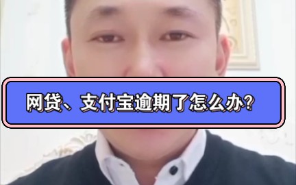 网贷、支付宝逾期了,怎么办?哔哩哔哩bilibili