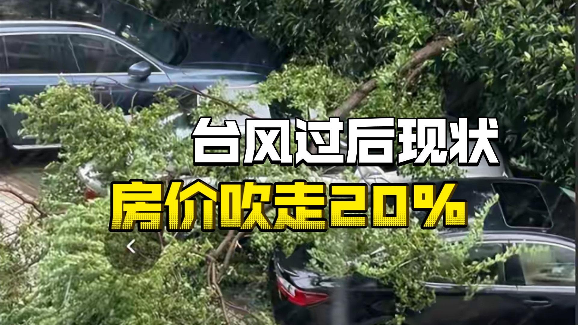 贝碧嘉走后!又是损失上百亿,家家户户门窗都没了,劣质工程露馅,工厂吹成废墟,房价都被吹走20%哔哩哔哩bilibili