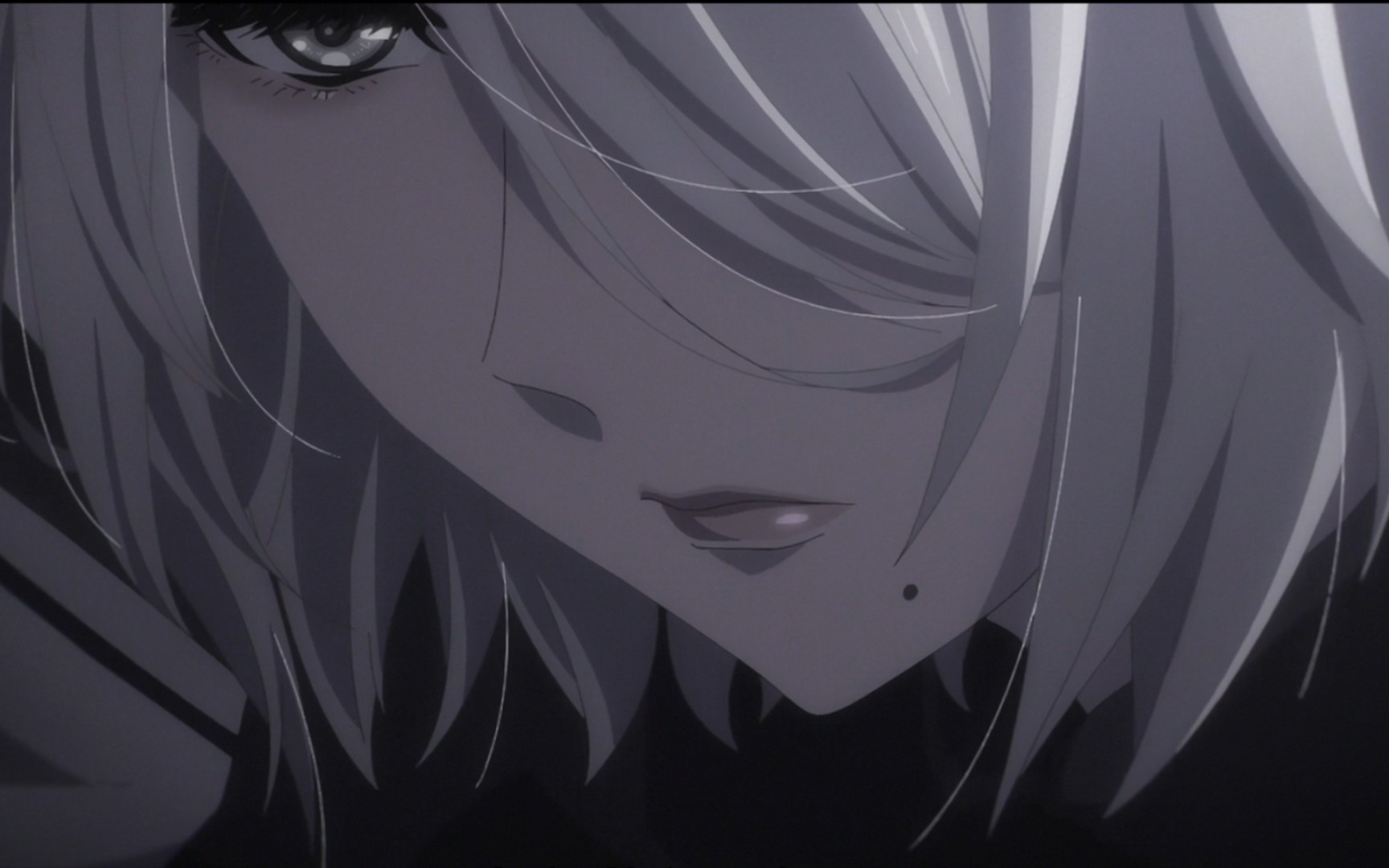 2b登场【尼尔:自动人形 ver1.1a】动画