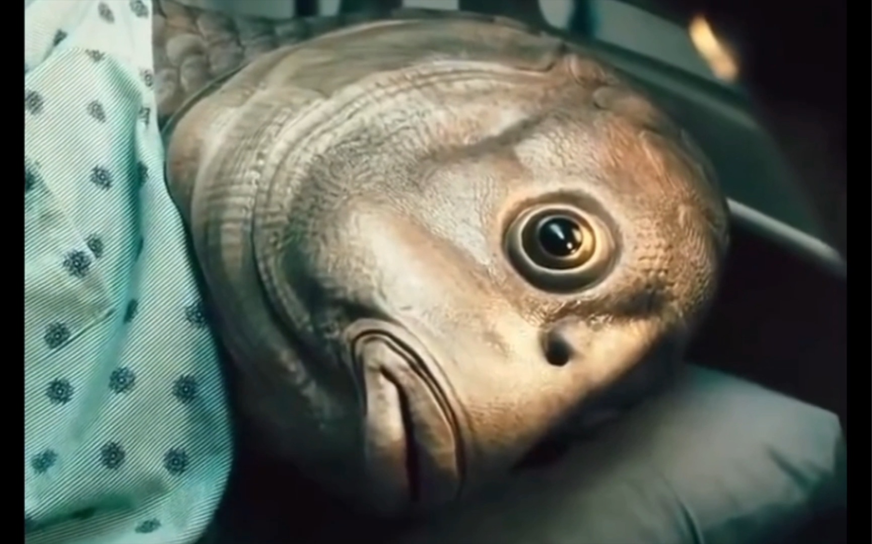 这就是绿脸鱼的由来_哔哩哔哩 (゜-゜)つロ 干杯~-bilibili