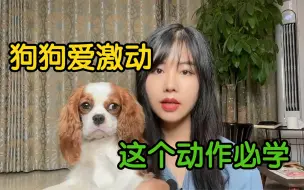 下载视频: 【训犬02】狗狗爱兴奋不听话，定指令学起来