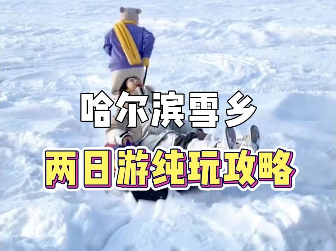 哈尔滨雪乡两日游纯玩攻略哔哩哔哩bilibili