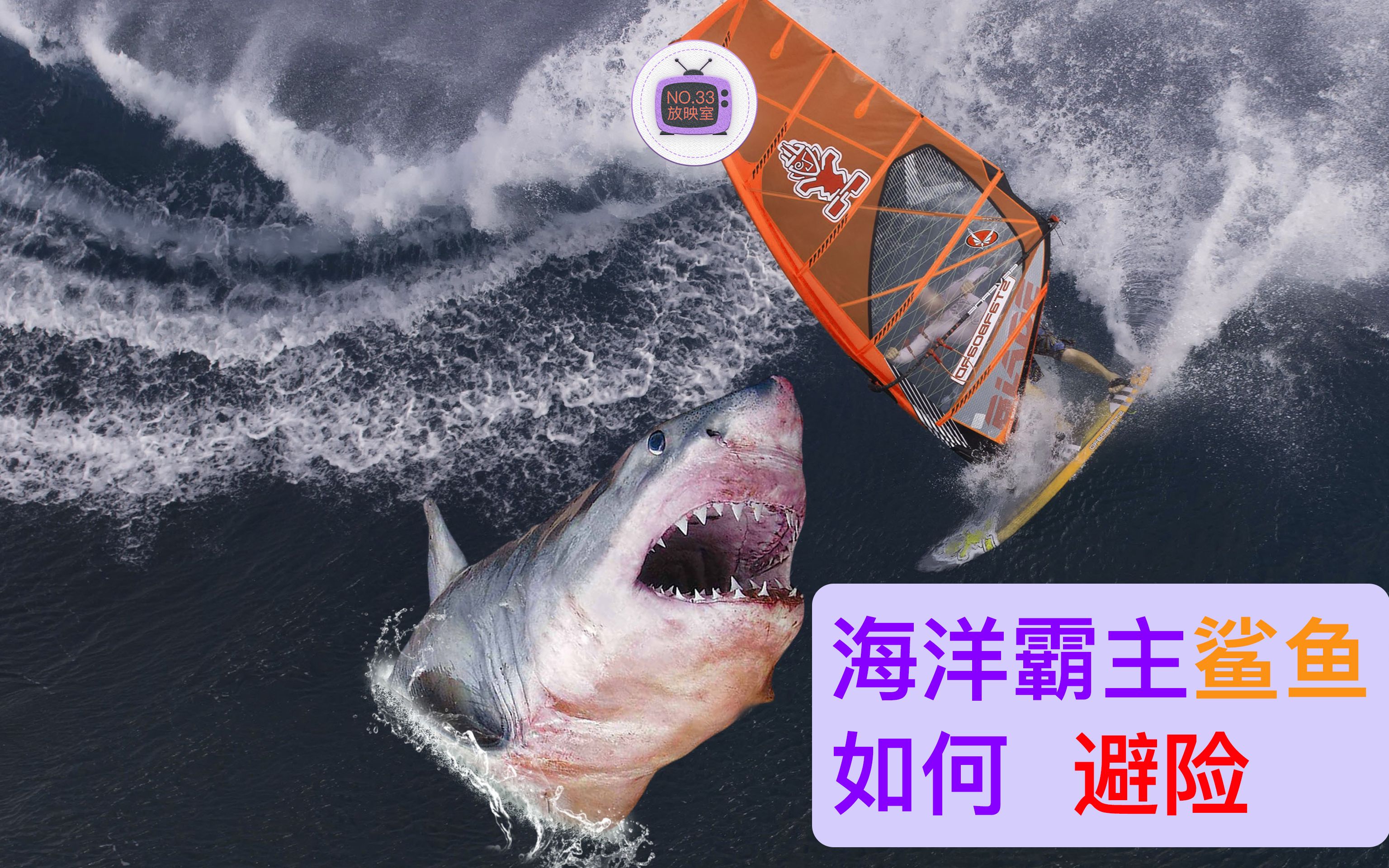 地球上超炫酷的事,吹口哨竟然是一门语言,鲨鱼也有烦恼_哔哩哔哩_bili