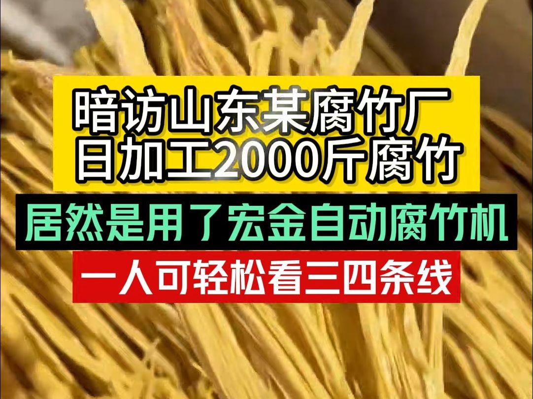 暗访山东某腐竹厂日加工2000斤腐竹 居然是用了宏金自动腐竹机 一人可轻松看三四条线 机器自动铺浆起皮烘干 一斤豆出6两腐竹 腐竹豆油皮豆棒响铃卷即可...