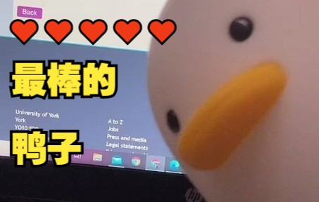 [图]【MCYT/中文字幕】Ashley和小白鸭的TikTok