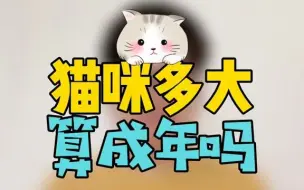 Download Video: 猫咪跟人的年龄是如何换算的？一分钟带你了解猫咪的一生。