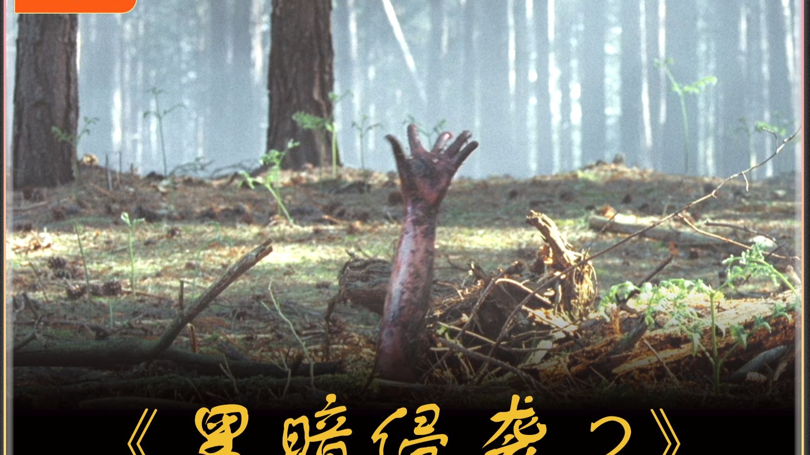 一口气看完恐怖片《黑暗侵袭》第二部