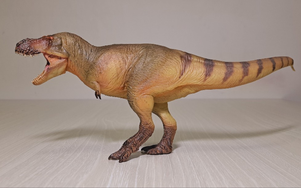 pnso诸城暴龙开箱_哔哩哔哩_bilibili