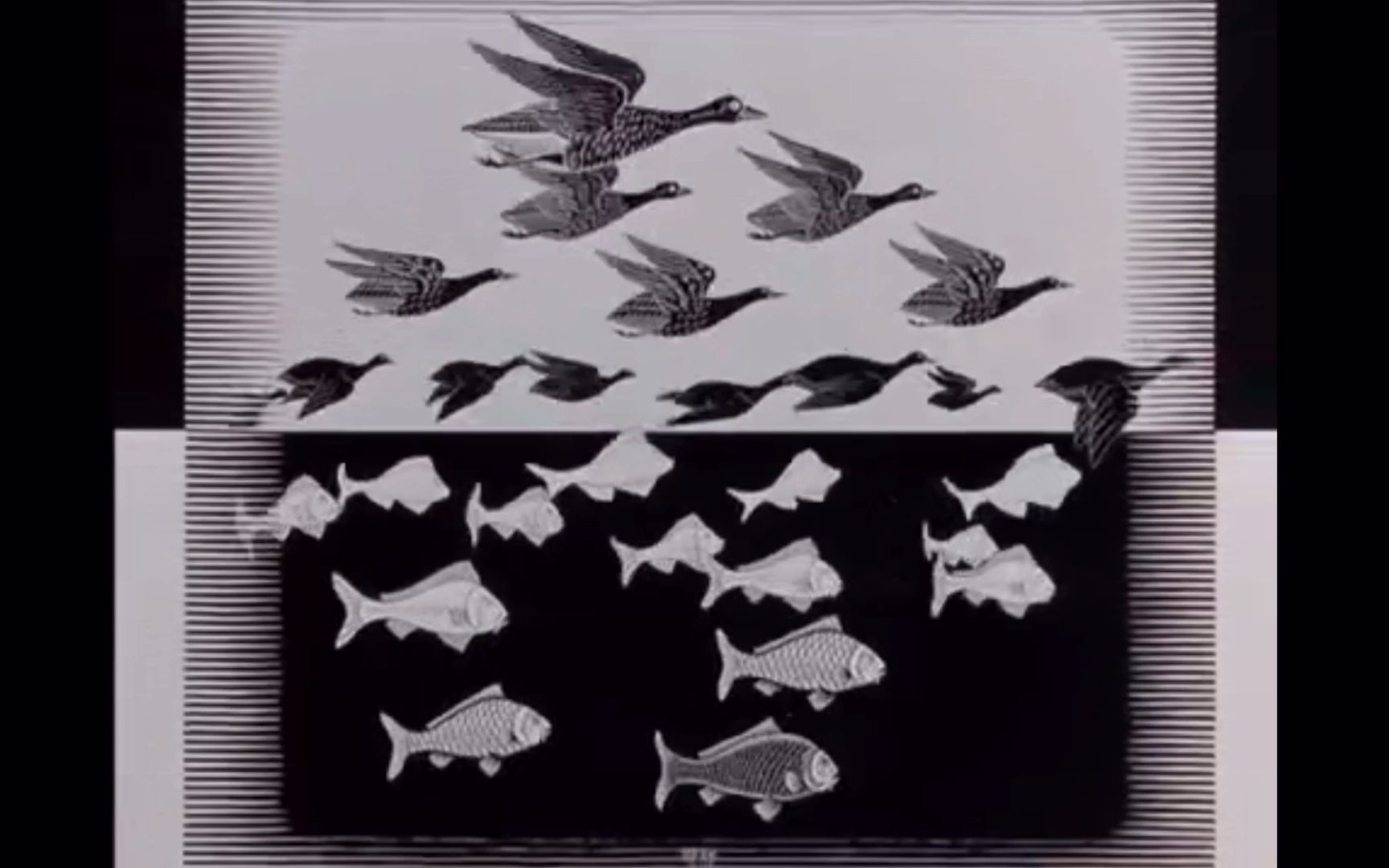 埃舍尔《天与水》视频