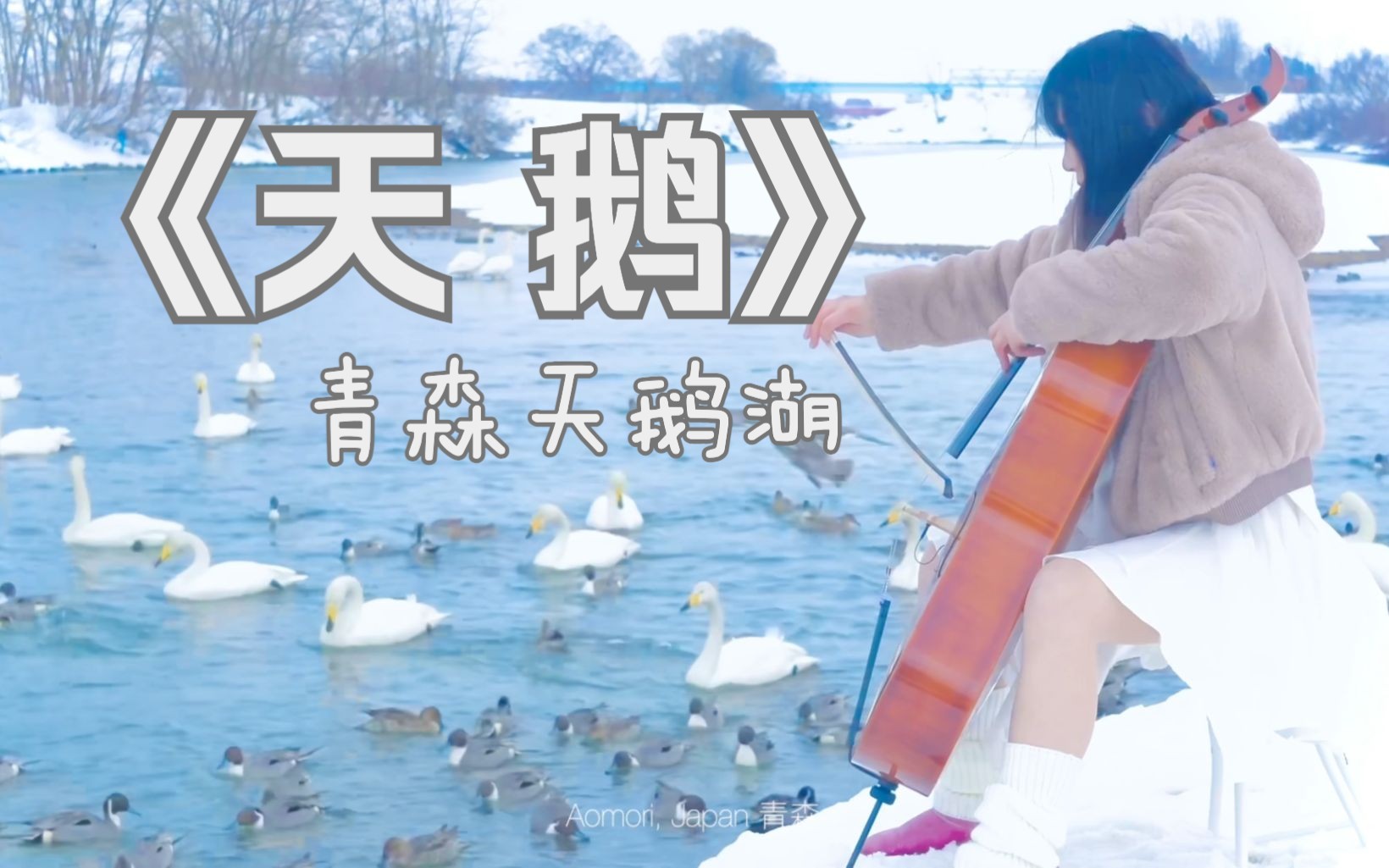 [图]来到了日本青森童话般的天鹅湖拉《天鹅》🦢 大提琴/圣桑