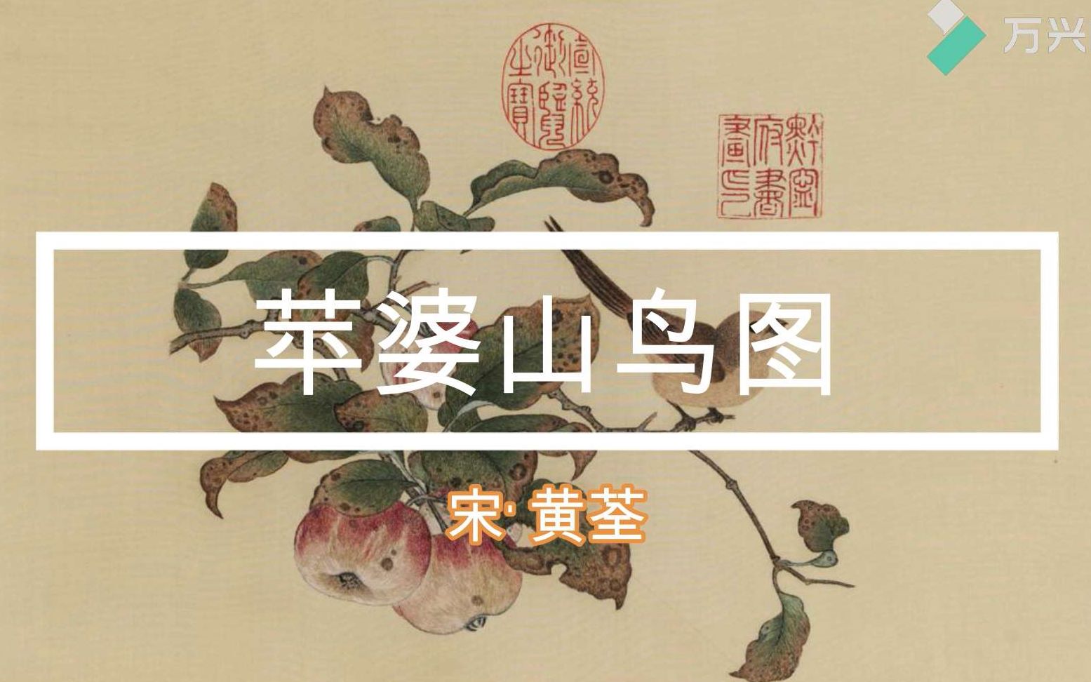 活动  黄荃富贵的宋画扇面——苹婆山鸟图1(勾线过程)