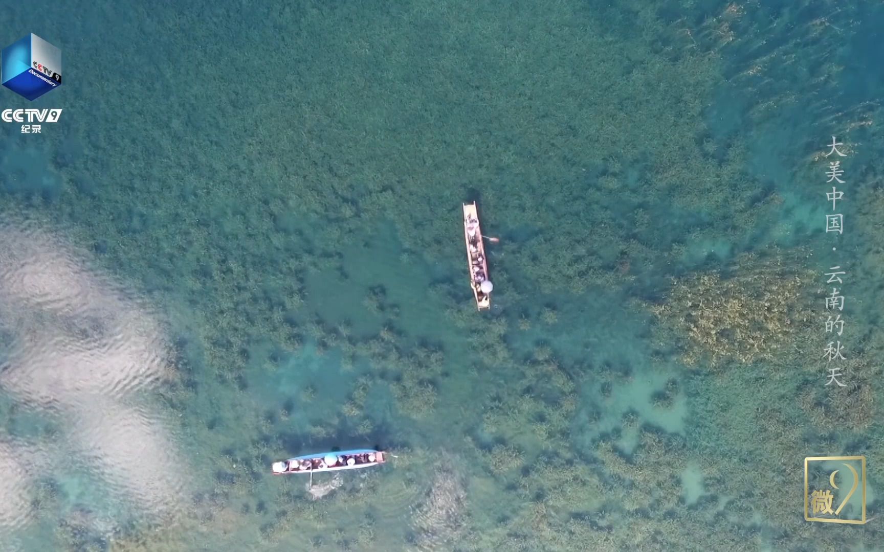 [图]秋日泸沽湖里的水藻和鱼群清晰可见