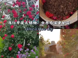 Download Video: 以花养花｜绝对是给旧土改良的最高仪式感