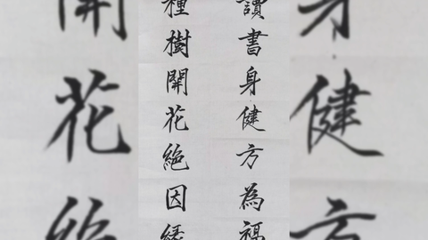 融合行书 隶书 魏体 瘦金为一体 读书身健方为福 种树开花总是缘 哔哩哔哩