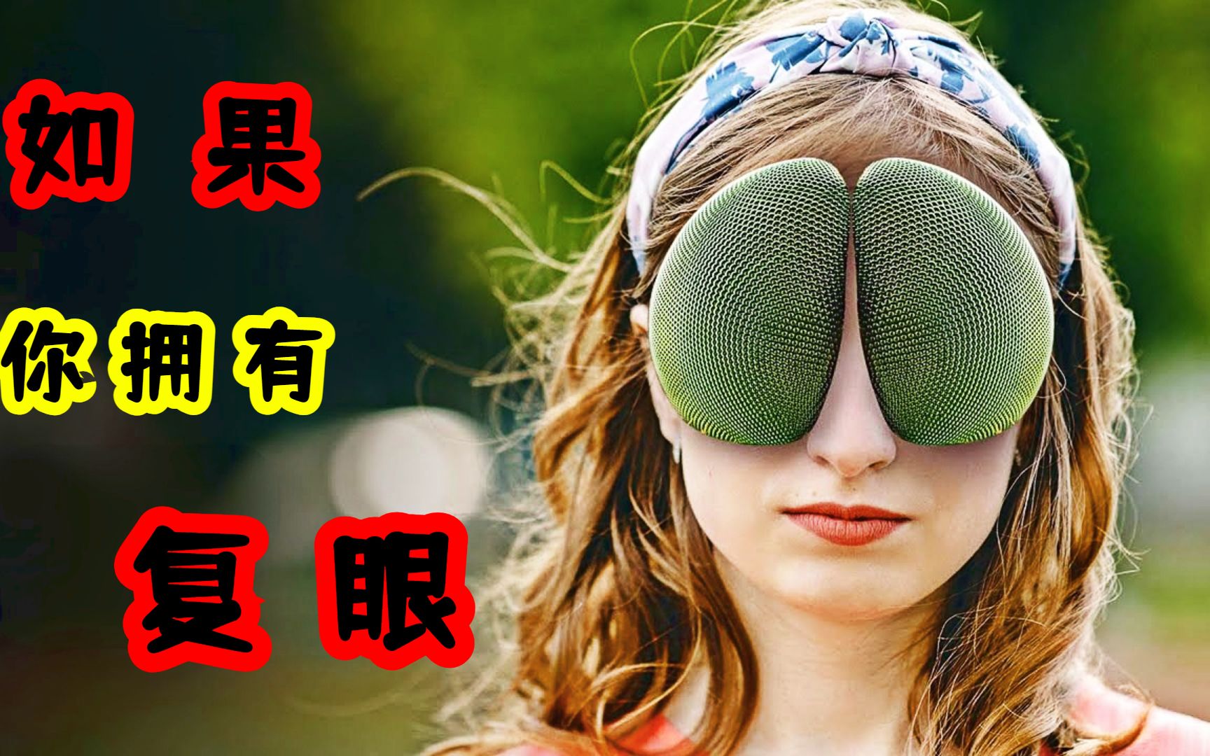 如果你有一双苍蝇的复眼,那么世界会是什么样子?能获得超能力吗