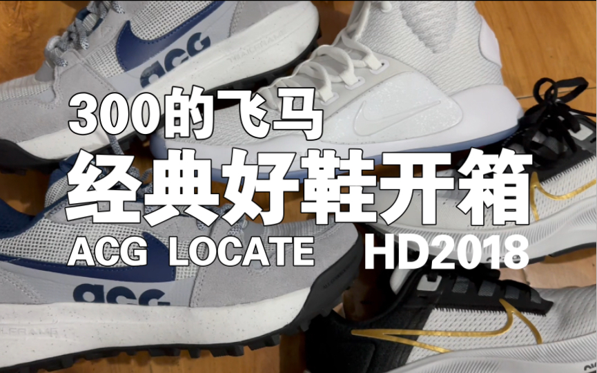 三双宝藏好鞋!NIKE HYPERDUNK X实战篮球鞋、NIKE ACG LOWCATE户外徒步鞋、NIKE飞马38GS开箱评测分享. 超值入手.哔哩哔哩bilibili