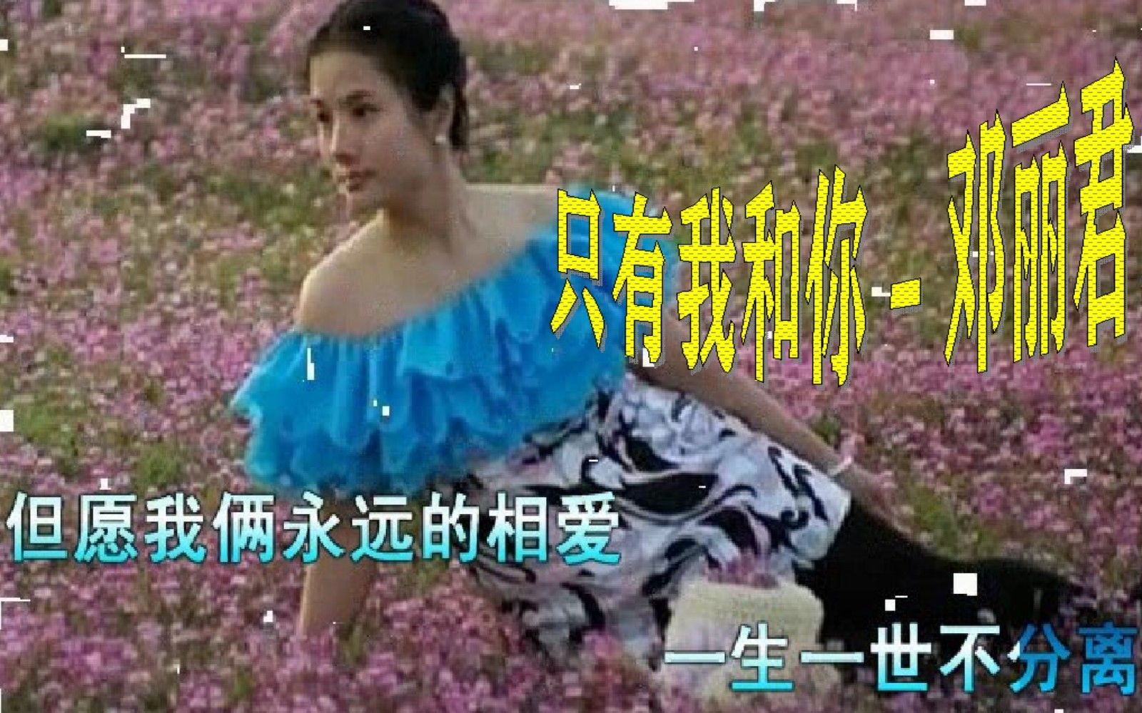 [图]只有我和你 - 邓丽君，但愿我俩永远的相爱，一生一世不分离