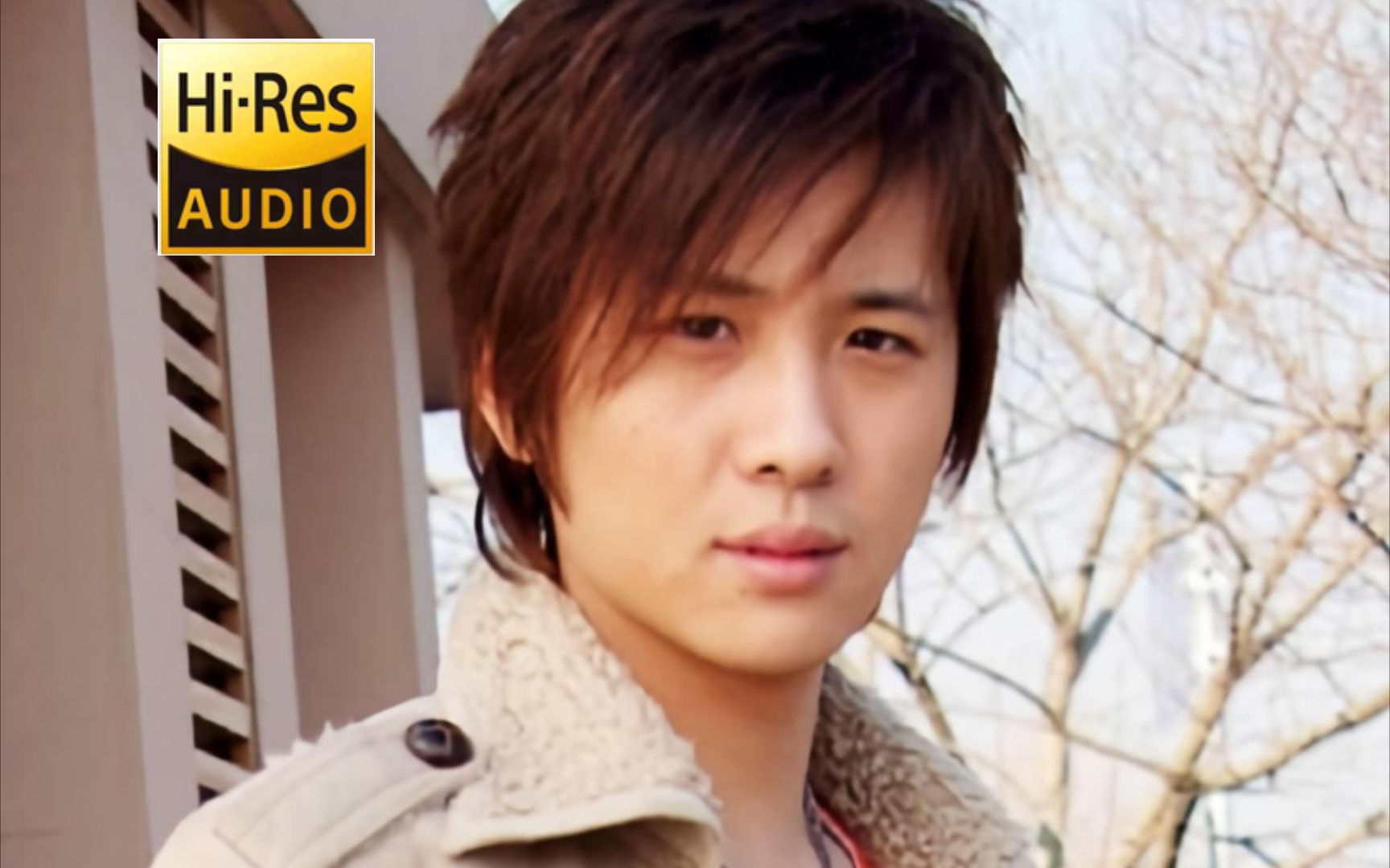 【hi-res音质】李智楠-《红色石头》