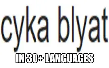 下载视频: 用三十种语言念Cyka Blyat