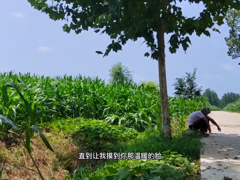 [图]十岁与二十岁过的不一样夏天