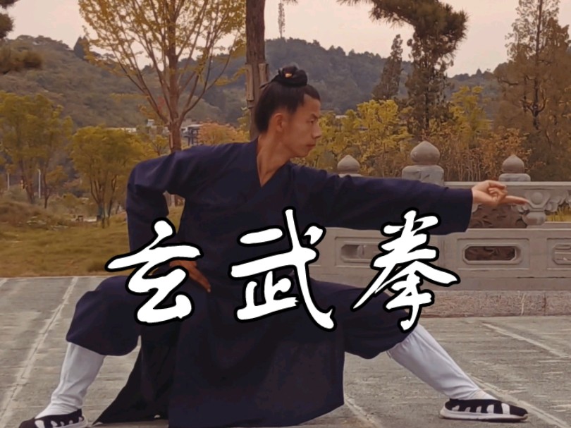 武当玄武拳