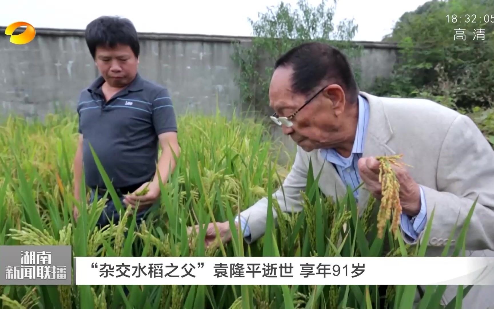 [图]【纪念袁隆平】湖南新闻联播袁隆平新闻专辑