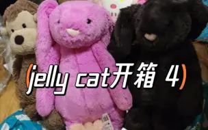 Télécharger la video: 【开箱】jelly cat开箱4