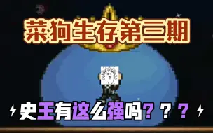 Download Video: 【泰拉瑞亚】第三期，泰拉最新版，史王、哥，布林军团拿下！！！