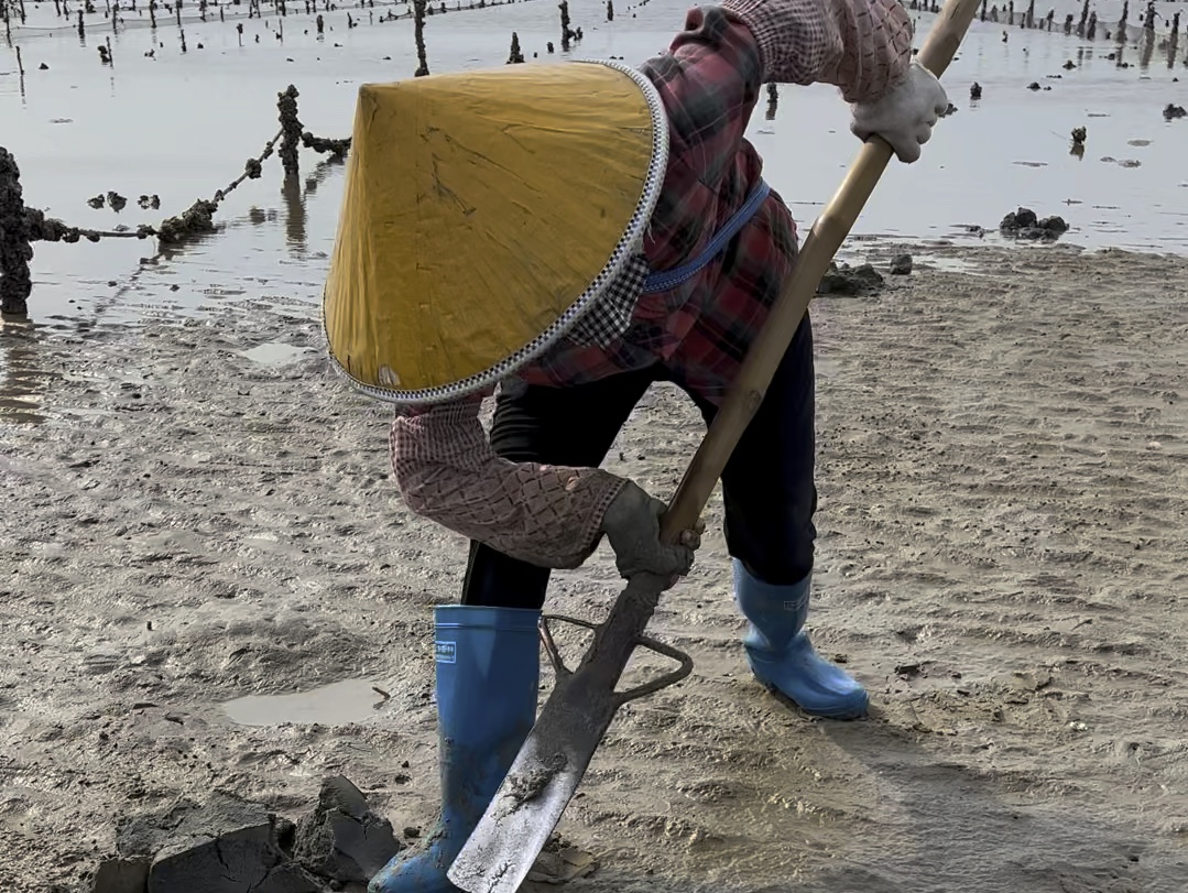 知道的我们在挖沙虫,不知道的以为我们在练兵杀敌