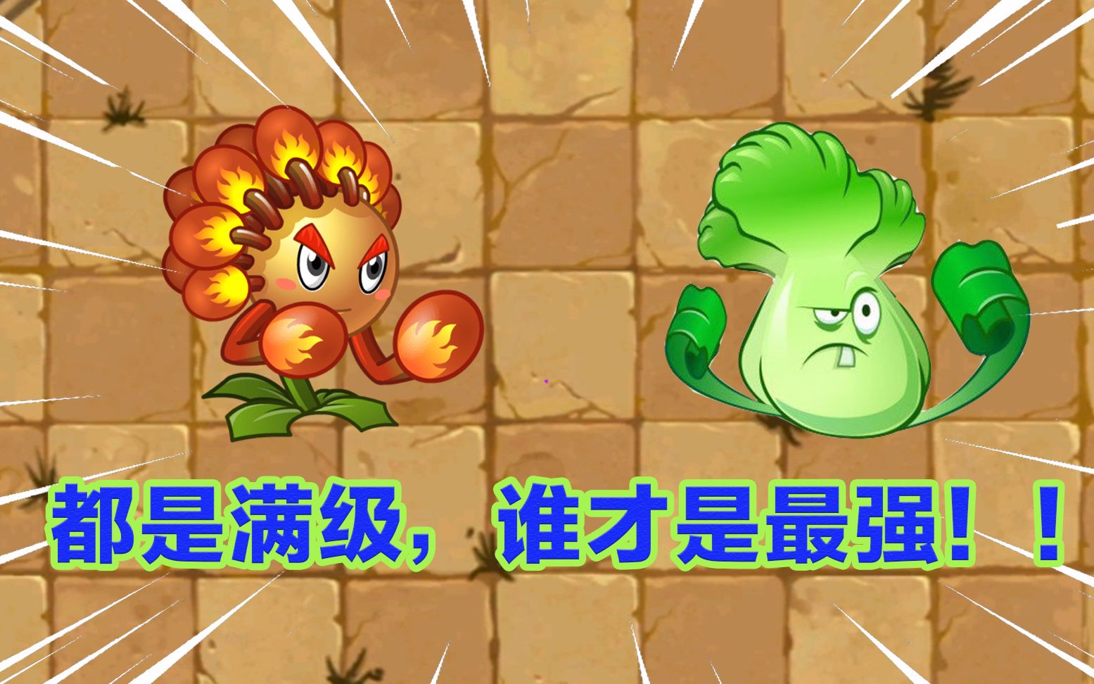 pvz2四级的火柴花拳手和菜问谁才是你心中真正的mvp植物