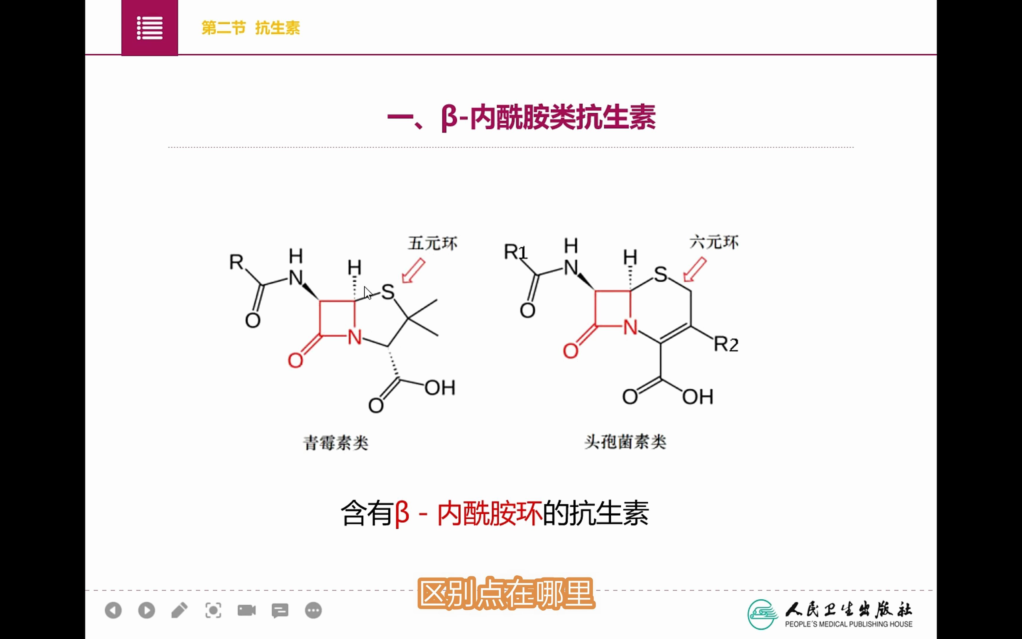 †…酰胺类抗生素哔哩哔哩bilibili