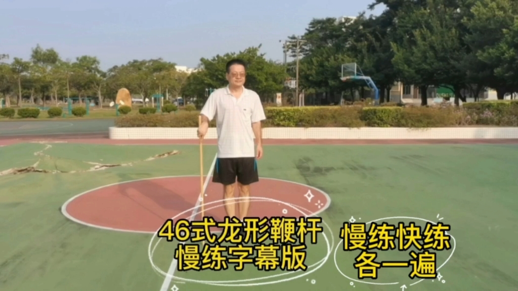 46式龙形鞭杆,配字幕慢练