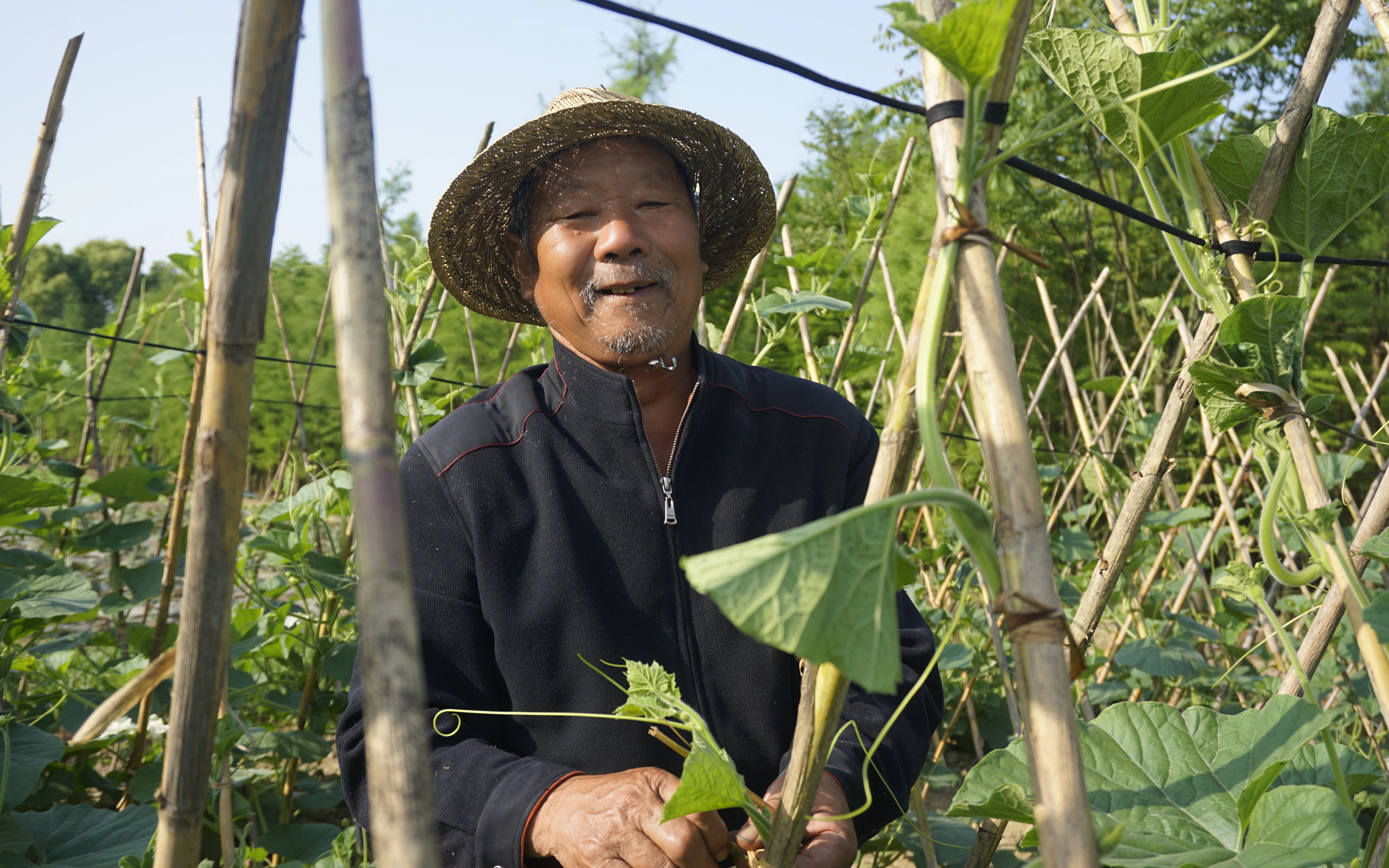 爷爷的田地,记录石匠里最后一代农民的劳作