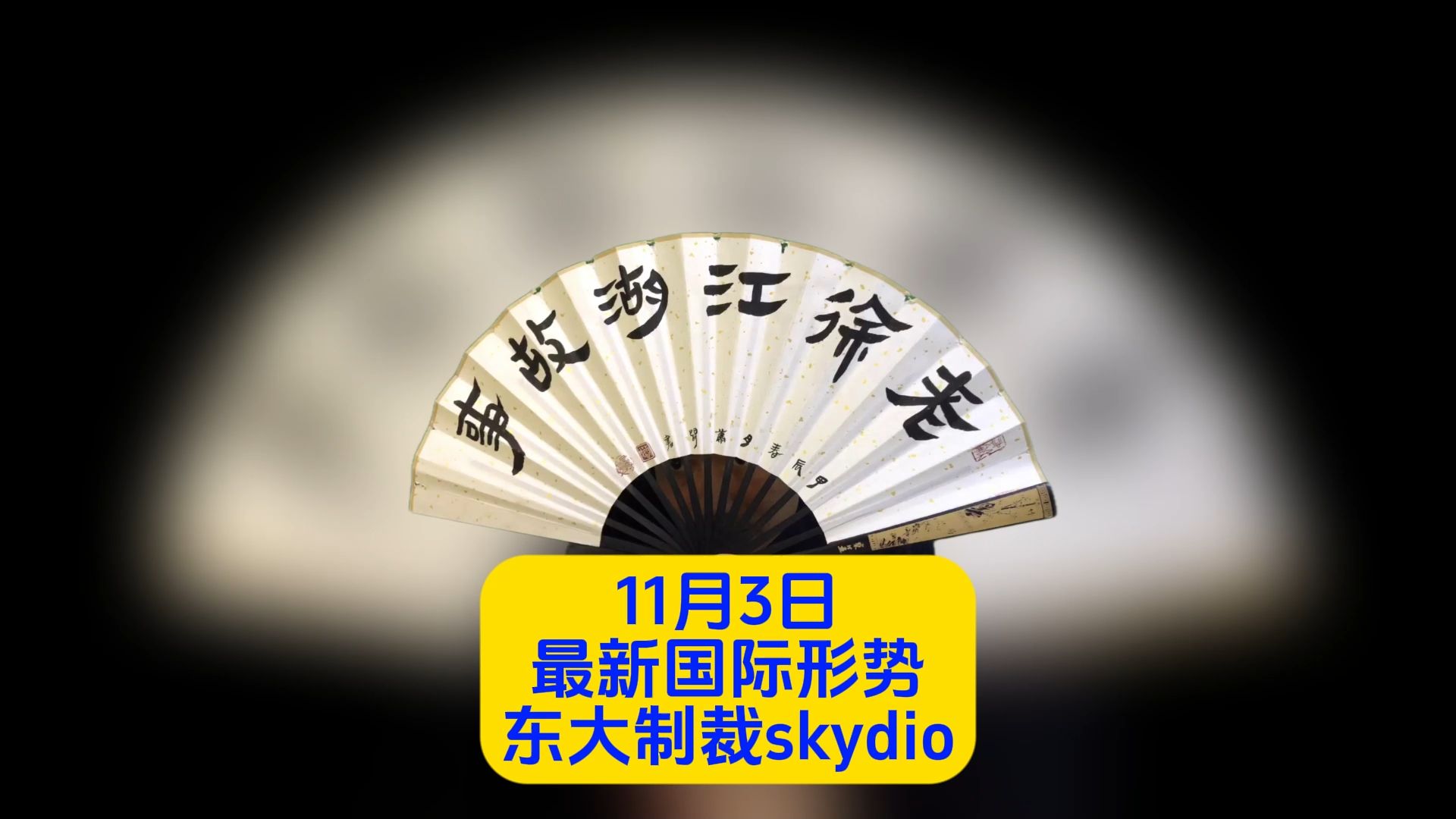 11月3日最新国际形势东大制裁skydio哔哩哔哩bilibili