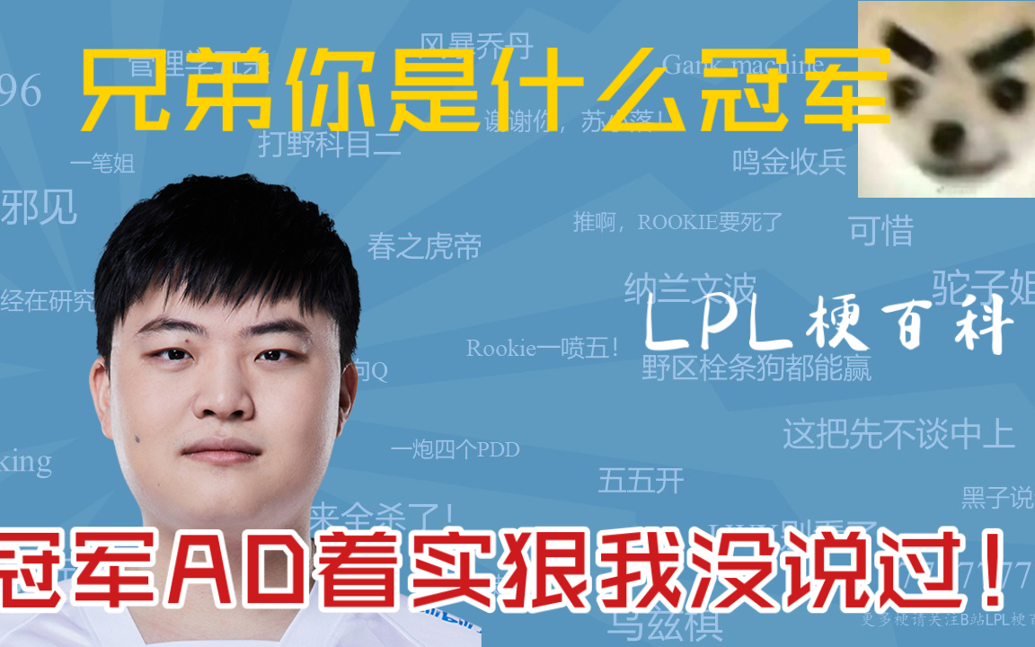 兄弟你是什么冠军【LPL梗百科】【冠军AD着实狠】