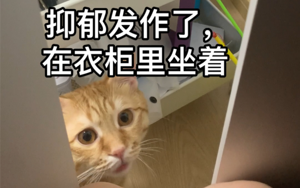 [图]抑郁症复发情绪崩溃，猫猫很担心。 抑郁症真的需要一只柔软的猫咪来填补内心的空洞。