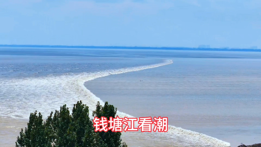 钱塘江观潮