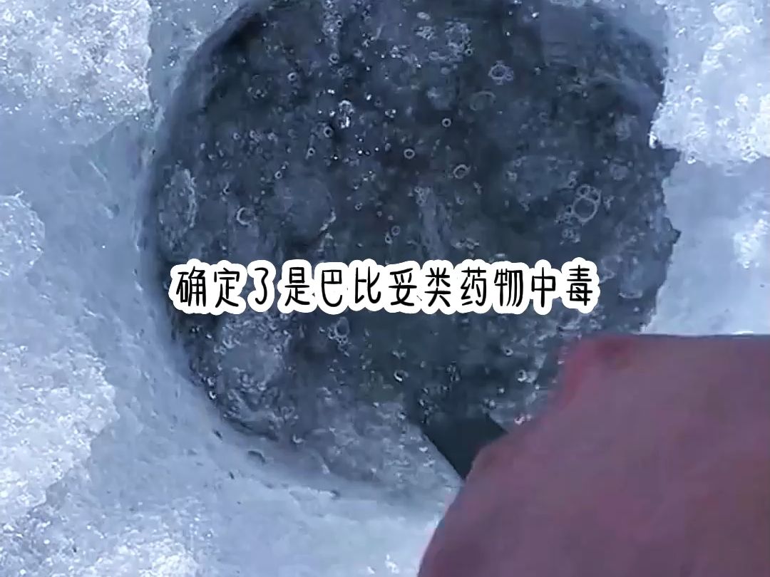 1月30日(1)