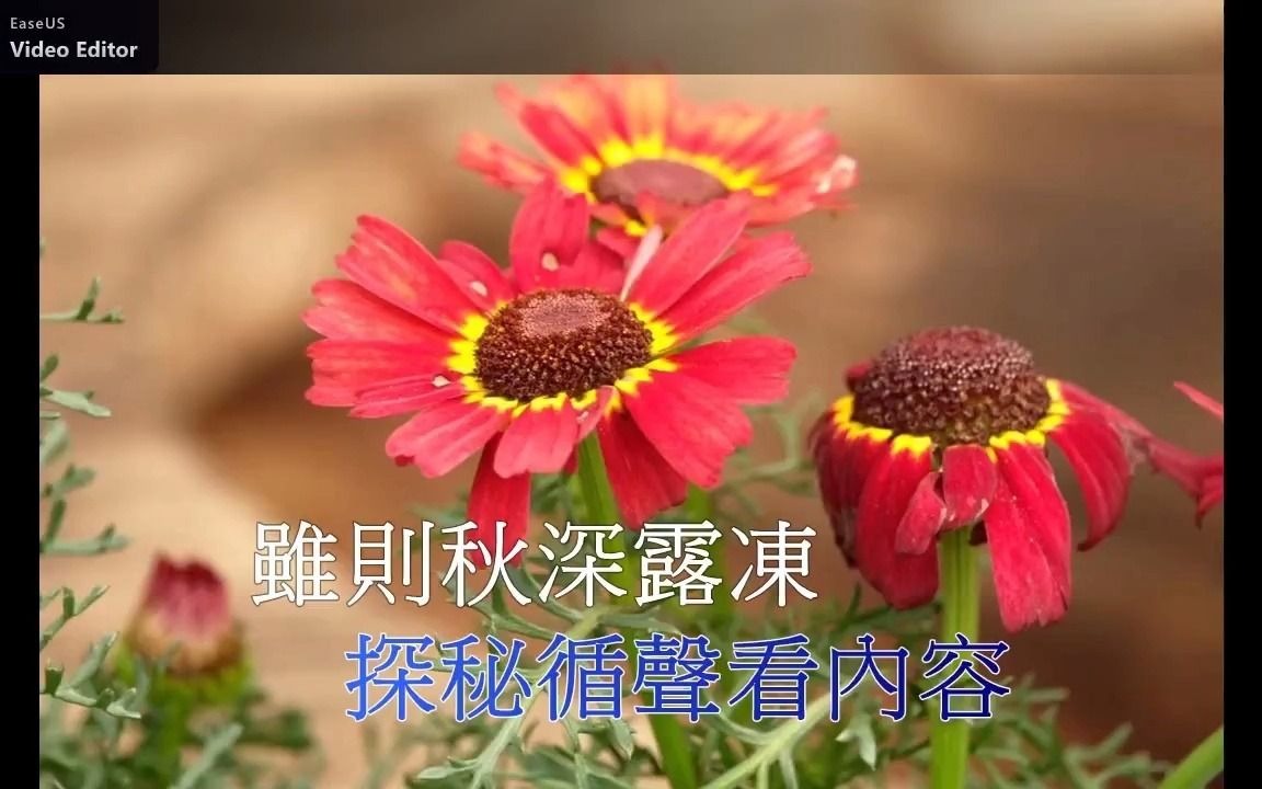 [图]粵曲: 十二欄杆十二釵(珍重 & 冰冰)