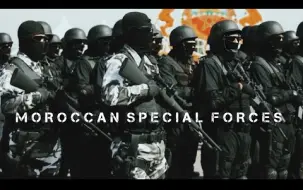 下载视频: 【已授权】2021 摩洛哥特种部队 Moroccan Special Forces 2021