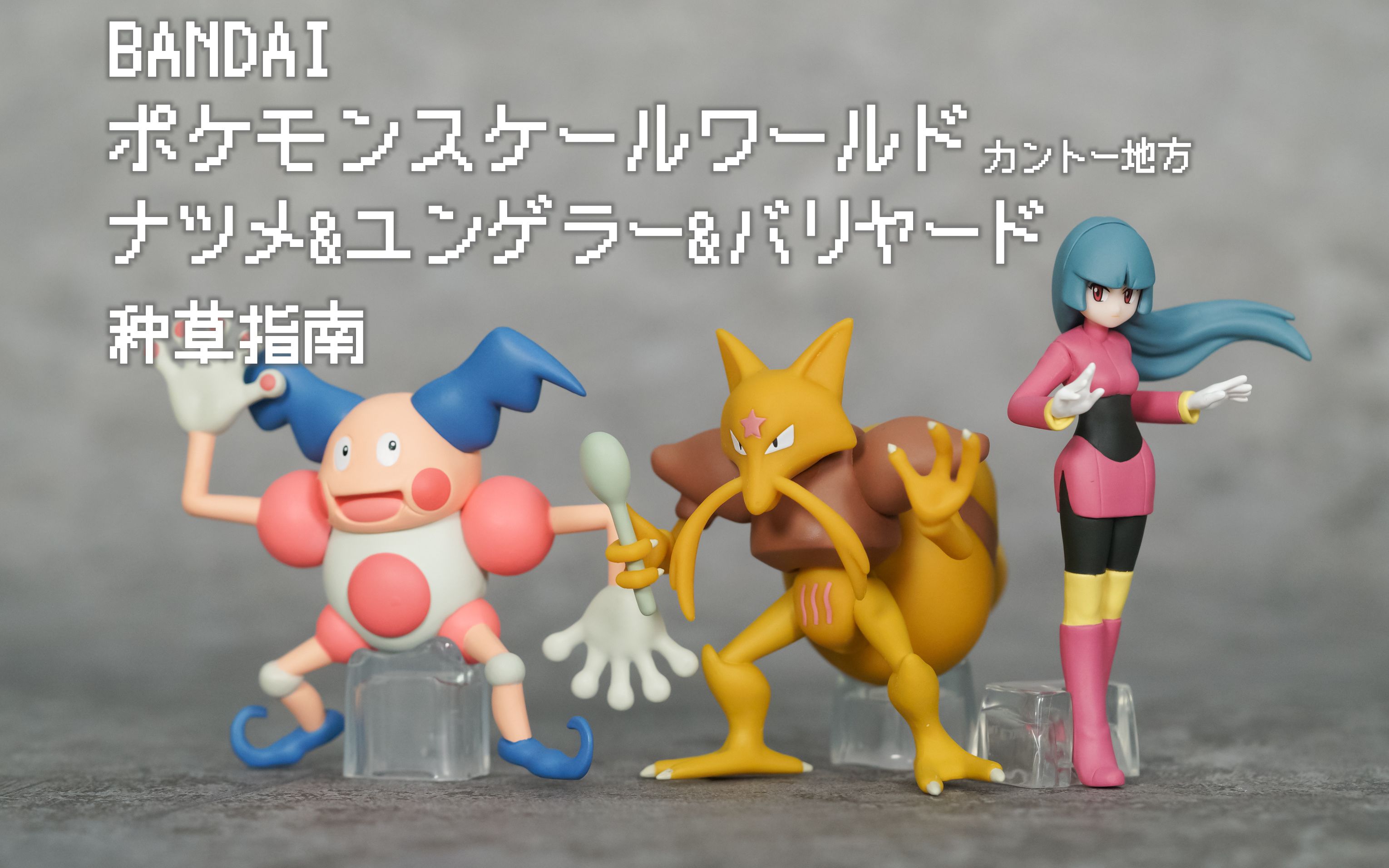 【种草指南】万代 宝可梦比例世界 关都地区 娜姿&勇吉拉&魔墙人偶