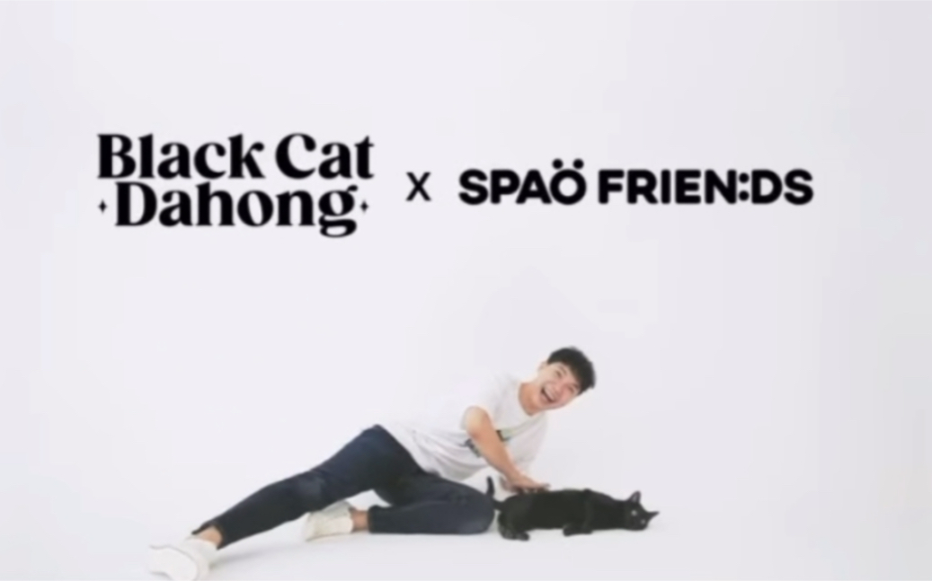 【多洪广告】BlackCat Dahong xSPAO FRIEN:DS哔哩哔哩bilibili