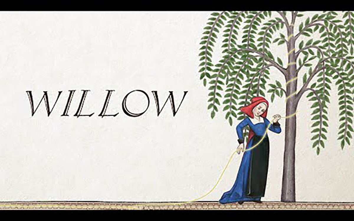 中世纪古英语翻唱霉霉taylorswift新单willow好听到爆